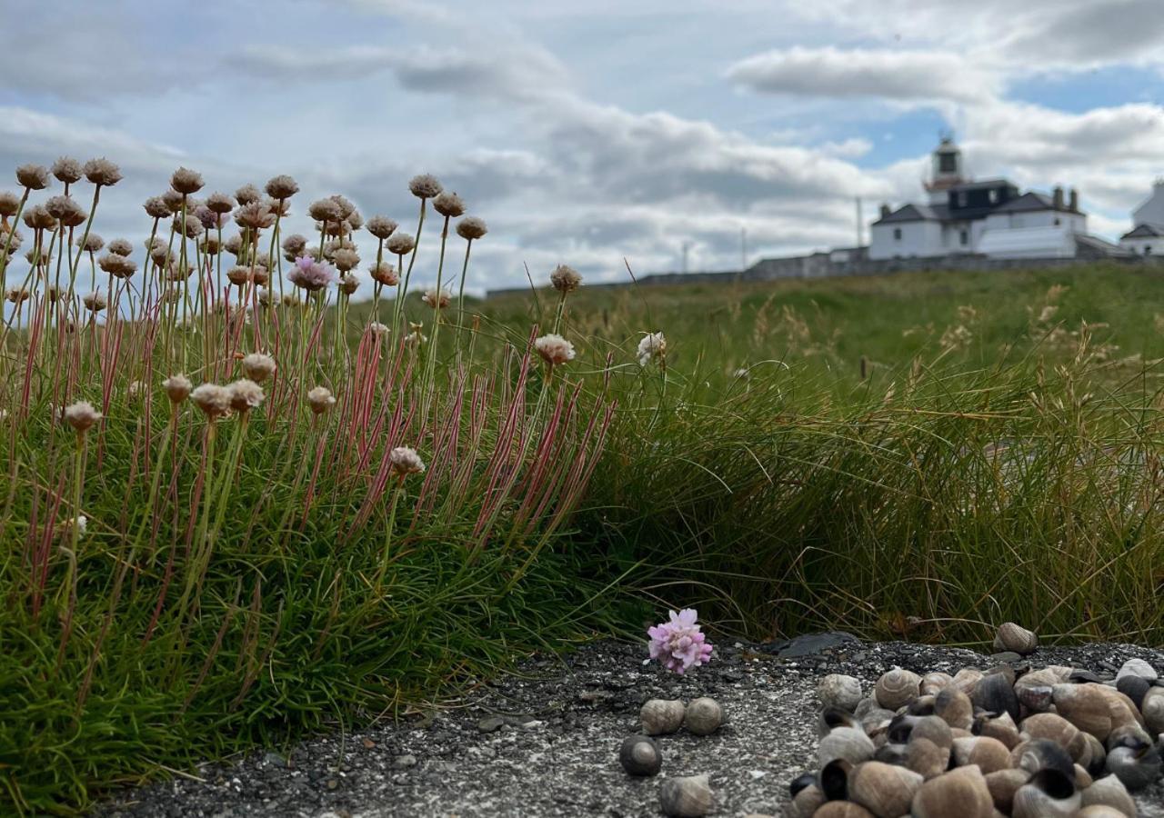 Loop Head Lighthouse Attendant'S Cottage Kilbaha Exterior foto