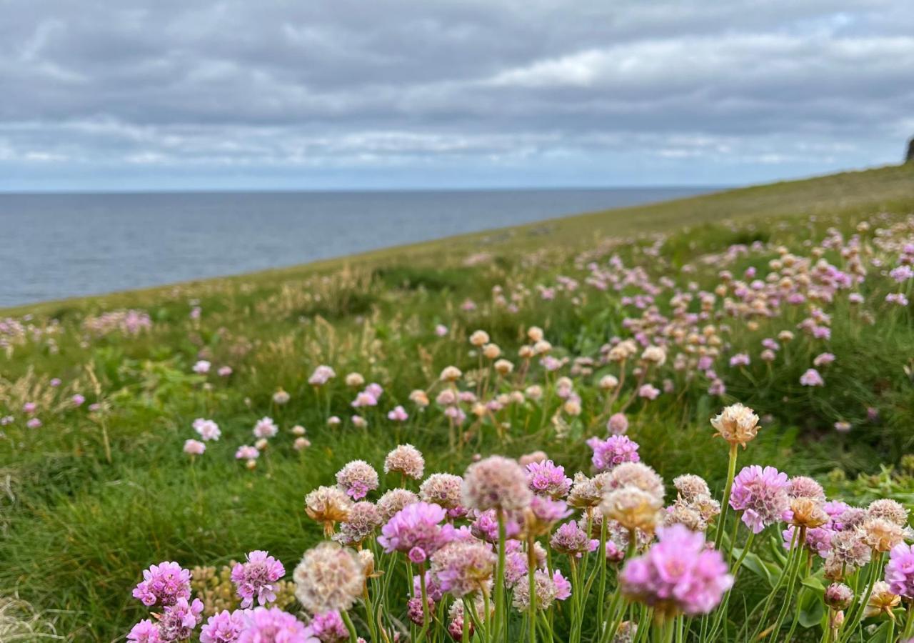 Loop Head Lighthouse Attendant'S Cottage Kilbaha Exterior foto